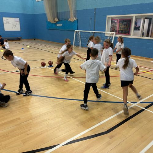 Year 2 at Basketball Development